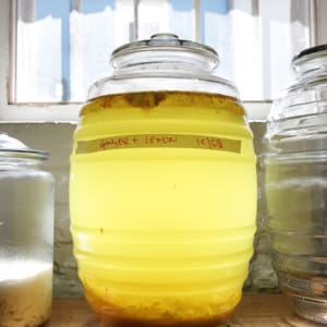 Ferments_7687