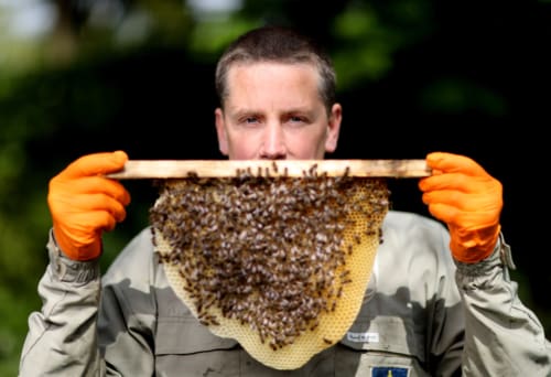 Beekeeper Kieran Harnett